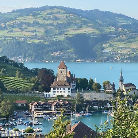 Herrlicher Blick Auf Berge Und See ฟูลองซี ภายนอก รูปภาพ