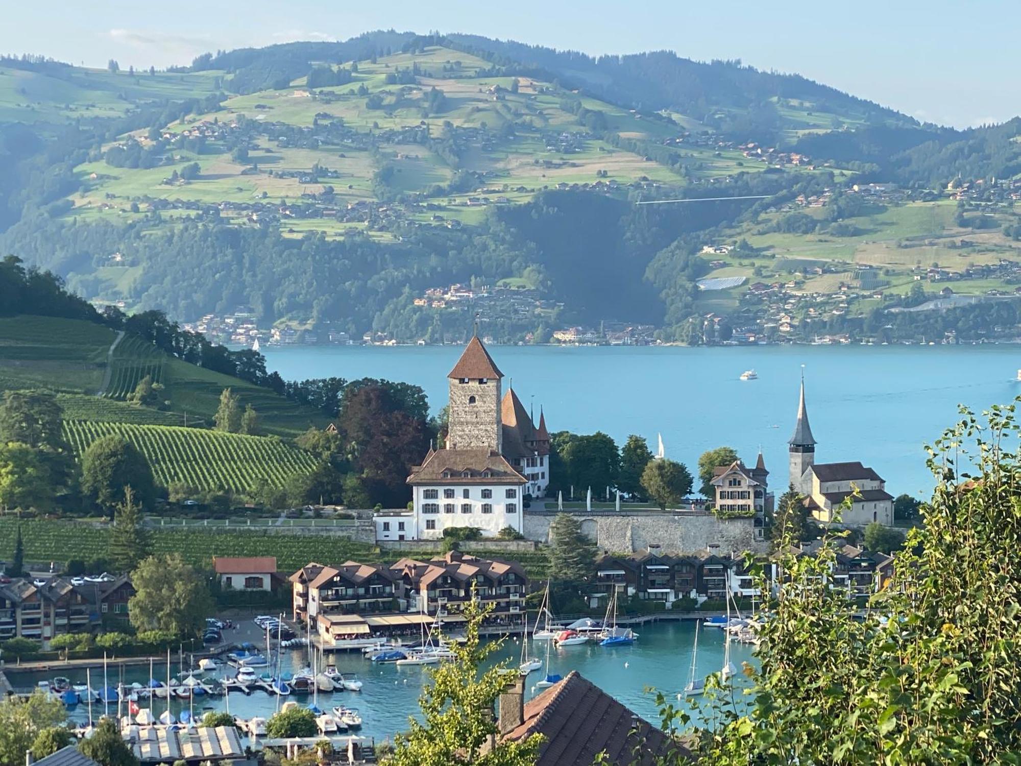 Herrlicher Blick Auf Berge Und See ฟูลองซี ภายนอก รูปภาพ