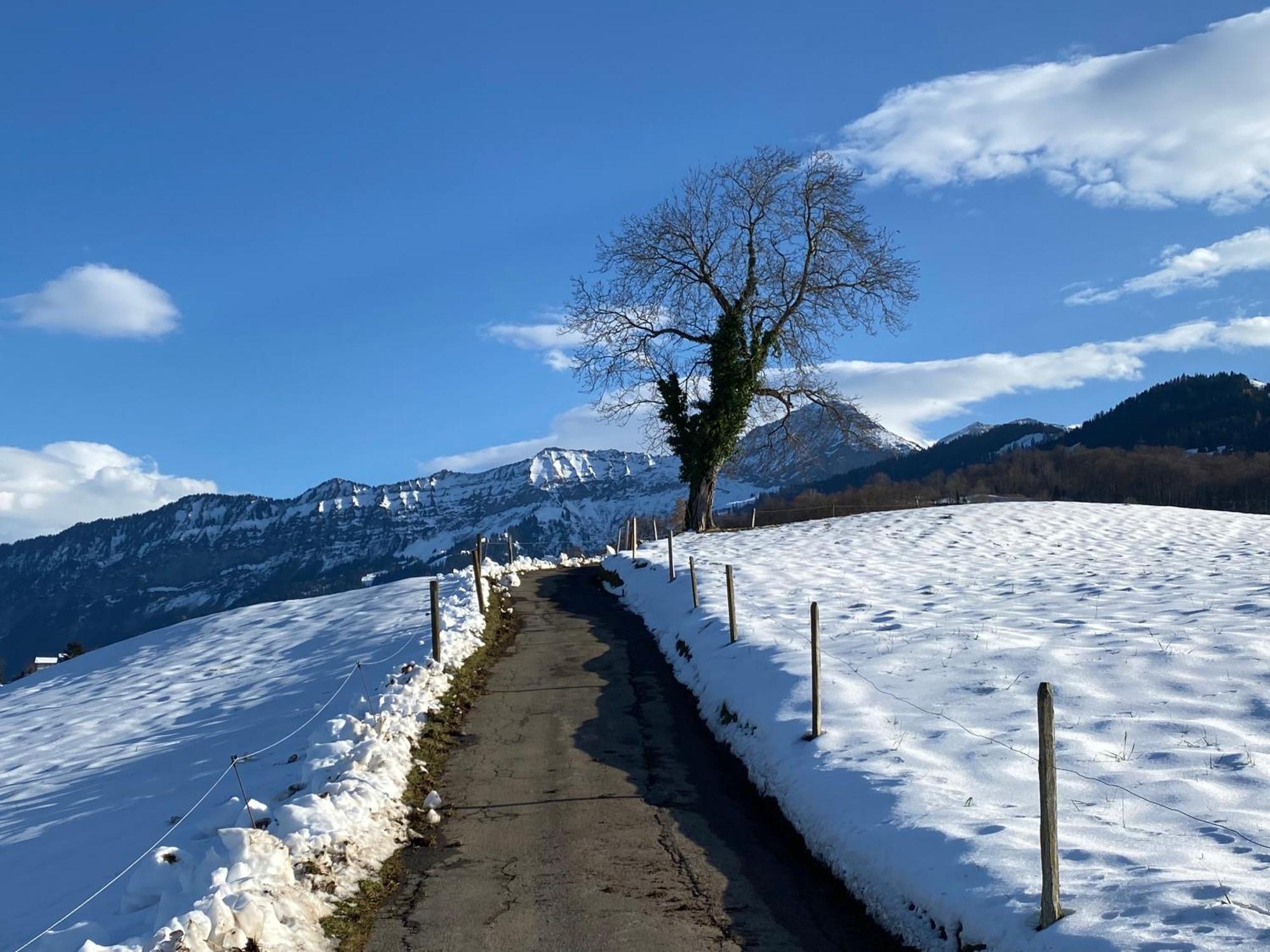 Herrlicher Blick Auf Berge Und See ฟูลองซี ภายนอก รูปภาพ