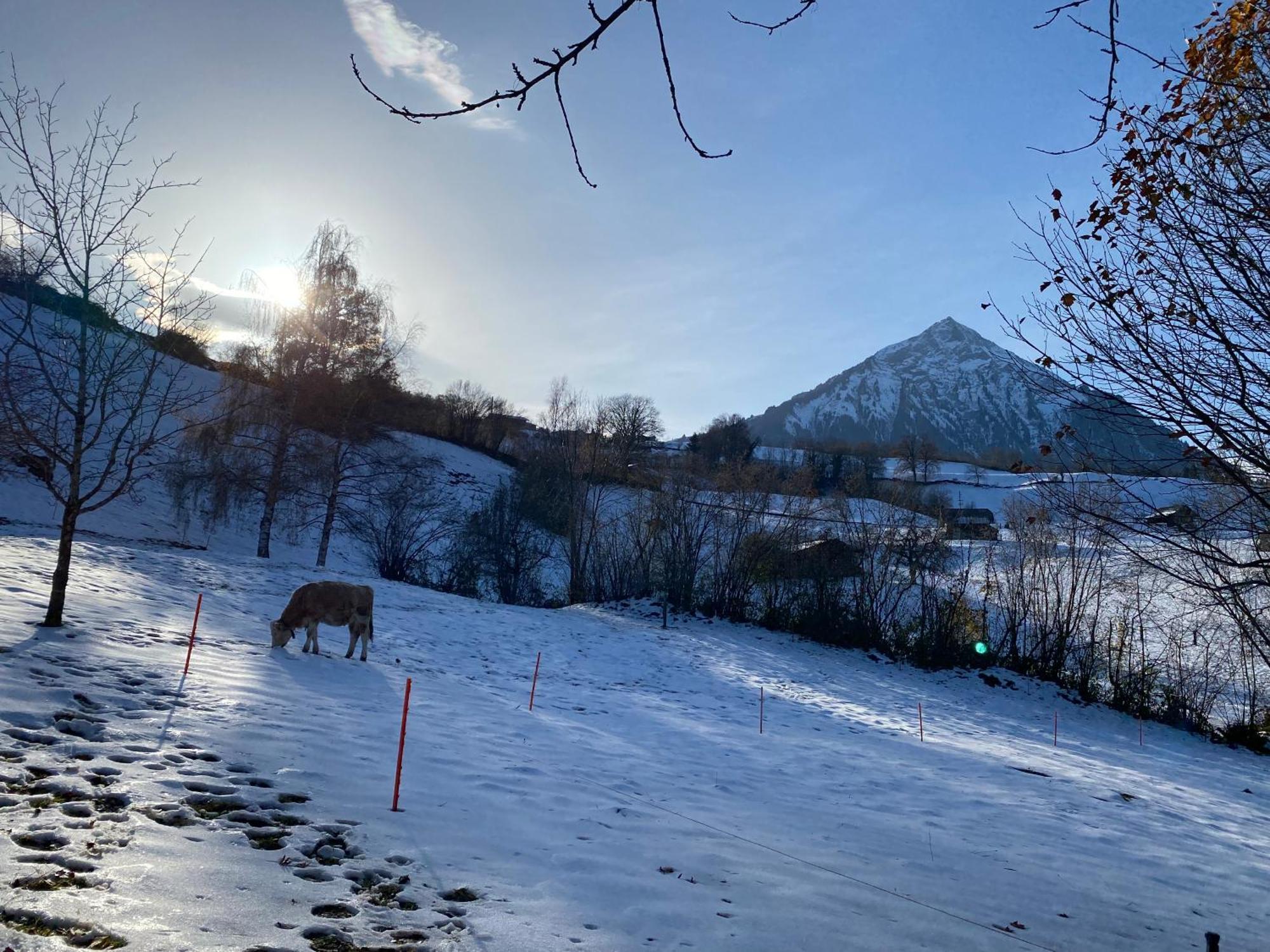 Herrlicher Blick Auf Berge Und See ฟูลองซี ภายนอก รูปภาพ